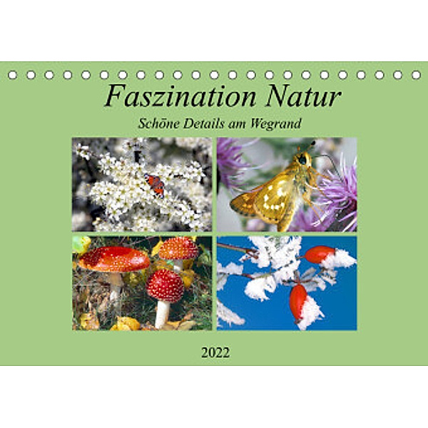Faszination Natur - Schöne Details am Wegrand (Tischkalender 2022 DIN A5 quer), lothar reupert