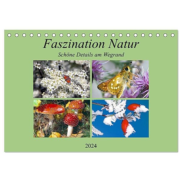 Faszination Natur - Schöne Details am Wegrand (Tischkalender 2024 DIN A5 quer), CALVENDO Monatskalender, lothar reupert