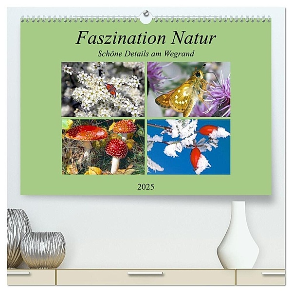 Faszination Natur - Schöne Details am Wegrand (hochwertiger Premium Wandkalender 2025 DIN A2 quer), Kunstdruck in Hochglanz, Calvendo, lothar reupert
