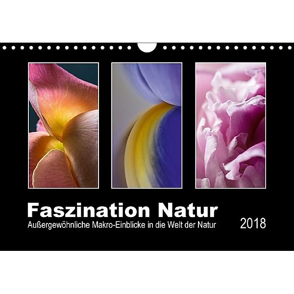 Faszination Natur (Wandkalender 2018 DIN A4 quer), Foto-FukS