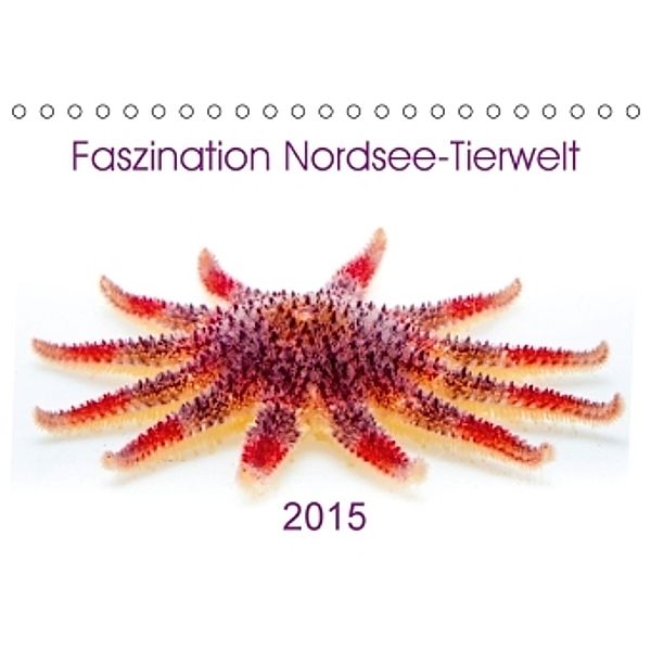 Faszination Nordsee-Tierwelt 2015 (Tischkalender 2015 DIN A5 quer), Armin Maywald