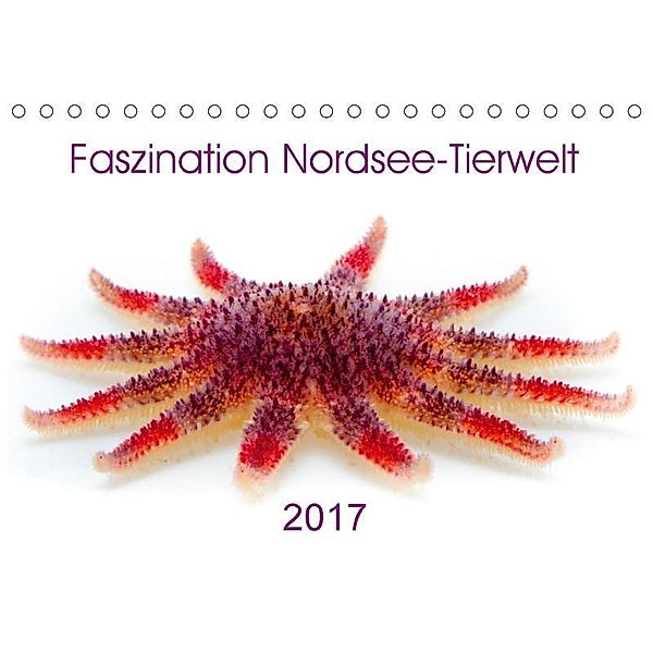 Faszination Nordsee-Tierwelt 2017 (Tischkalender 2017 DIN A5 quer), Armin Maywald