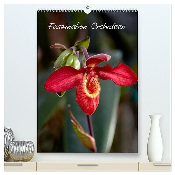 Faszination Orchideen (hochwertiger Premium Wandkalender 2025 DIN A2 hoch), Kunstdruck in Hochglanz, Calvendo, Veronika Rix