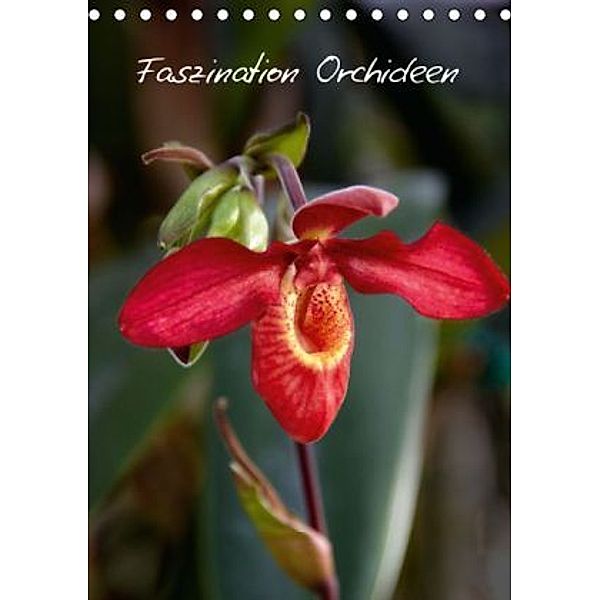 Faszination Orchideen (Tischkalender 2015 DIN A5 hoch), Veronika Rix