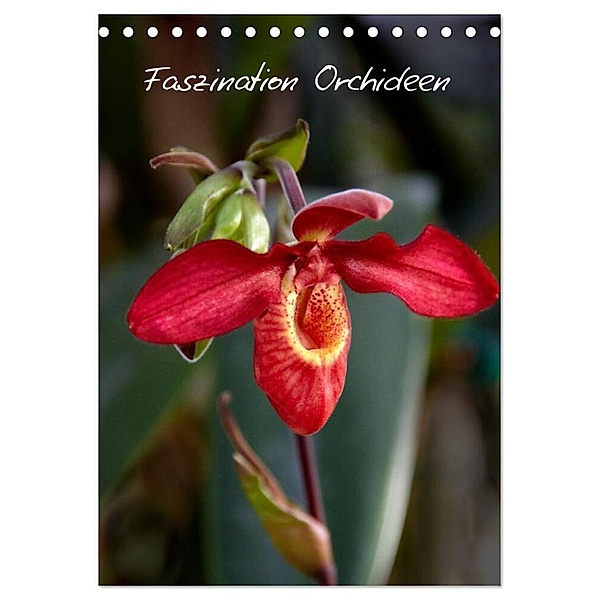 Faszination Orchideen (Tischkalender 2024 DIN A5 hoch), CALVENDO Monatskalender, Veronika Rix