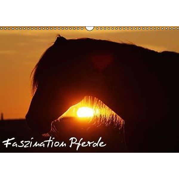 Faszination Pferde (Wandkalender 2015 DIN A3 quer), Gert Pöder