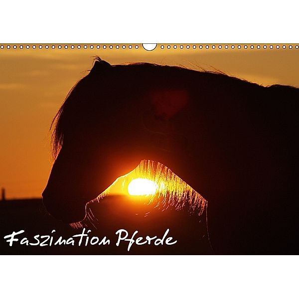 Faszination Pferde (Wandkalender 2018 DIN A3 quer), Gert Pöder