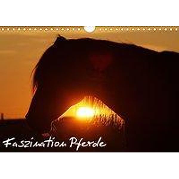 Faszination Pferde (Wandkalender 2020 DIN A4 quer), Gert Pöder