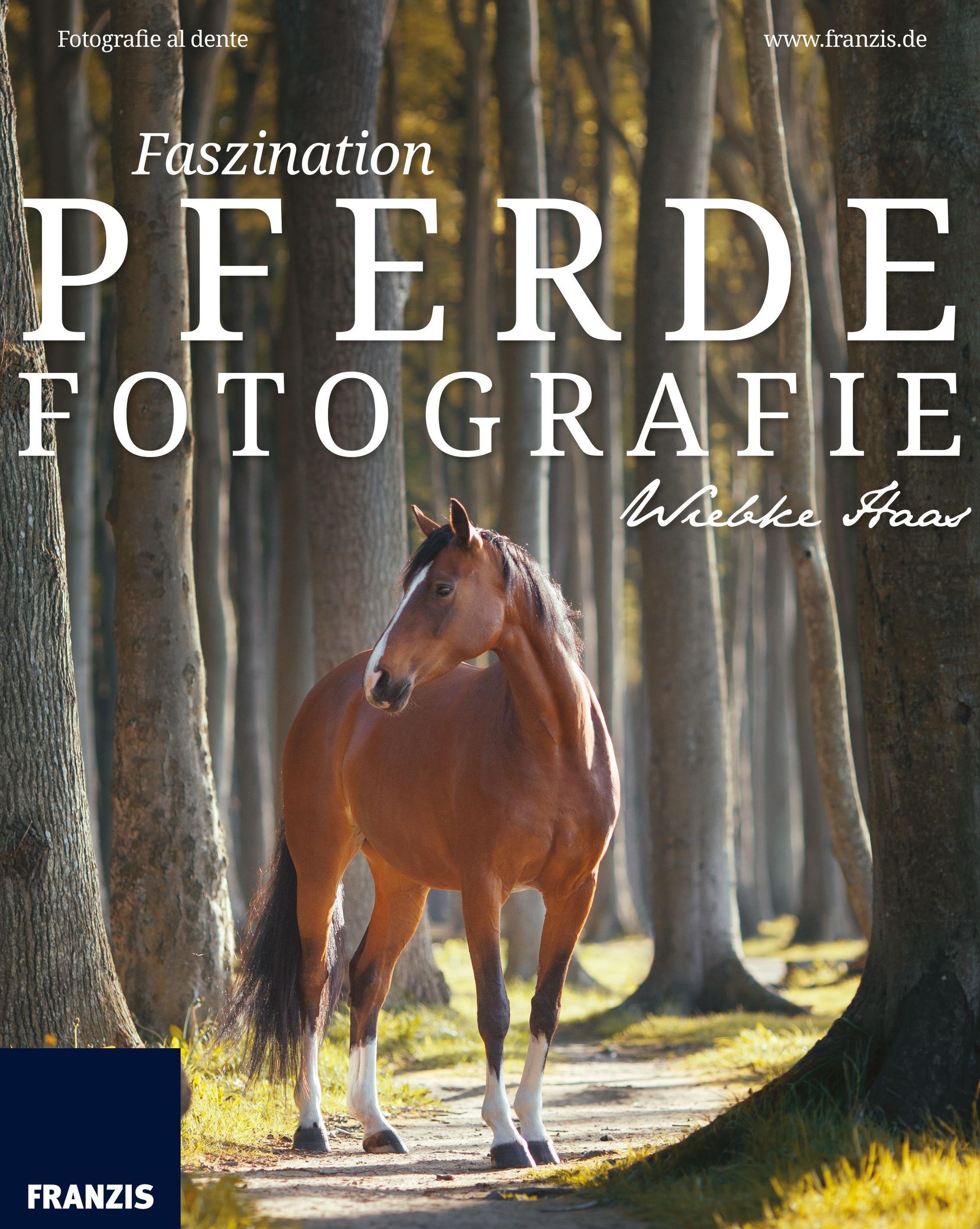 Faszination Pferdefotografie Fotografie Ratgeber eBook v. Wiebke Haas |  Weltbild
