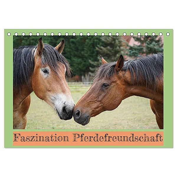 Faszination Pferdefreundschaft (Tischkalender 2024 DIN A5 quer), CALVENDO Monatskalender, Babett Paul - Babetts Bildergalerie