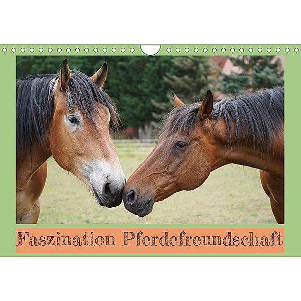 Faszination Pferdefreundschaft (Wandkalender 2023 DIN A4 quer), Babett Paul - Babetts Bildergalerie