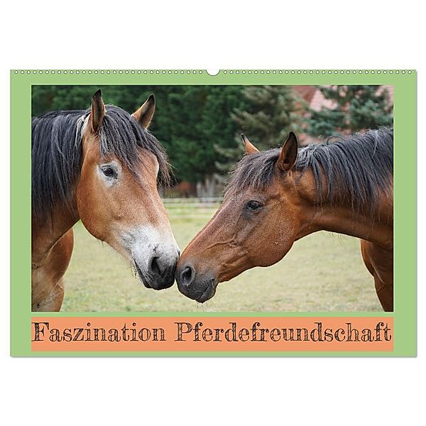 Faszination Pferdefreundschaft (Wandkalender 2024 DIN A2 quer), CALVENDO Monatskalender, Babett Paul - Babetts Bildergalerie