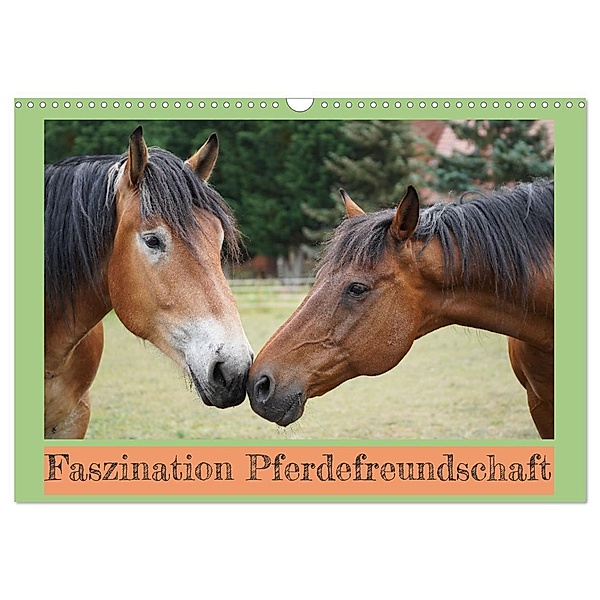 Faszination Pferdefreundschaft (Wandkalender 2025 DIN A3 quer), CALVENDO Monatskalender, Calvendo, Babett Paul - Babetts Bildergalerie