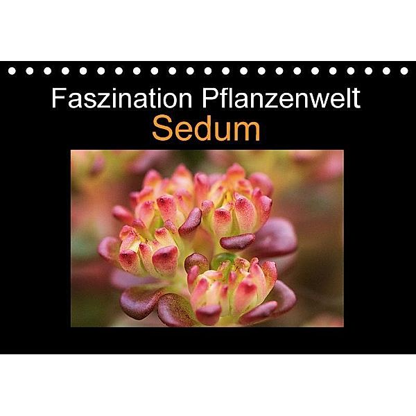 Faszination Pflanzenwelt - Sedum (Tischkalender 2017 DIN A5 quer), Veronika Rix