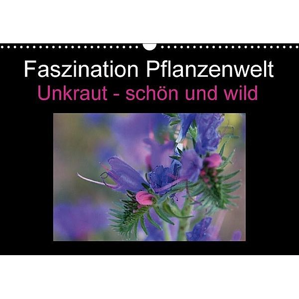 Faszination Pflanzenwelt - Unkraut, schön und wild (Wandkalender 2017 DIN A3 quer), Veronika Rix
