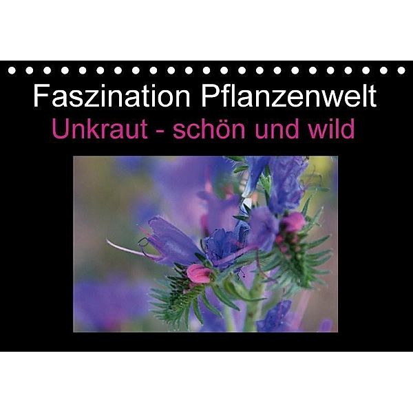 Faszination Pflanzenwelt - Unkraut, schön und wild (Tischkalender 2017 DIN A5 quer), Veronika Rix