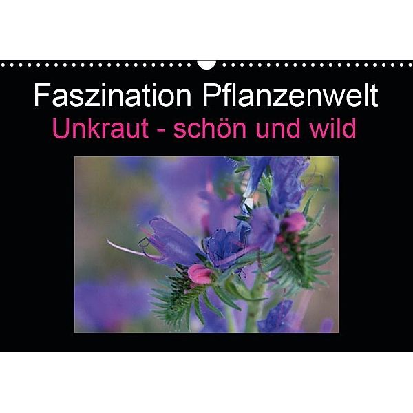 Faszination Pflanzenwelt - Unkraut, schön und wild (Wandkalender 2019 DIN A3 quer), Veronika Rix