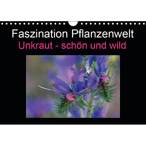 Faszination Pflanzenwelt - Unkraut, schön und wild (Wandkalender 2019 DIN A4 quer), Veronika Rix