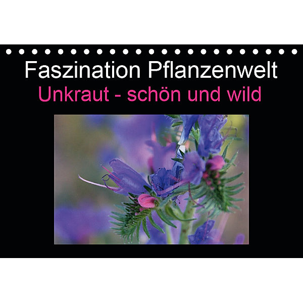 Faszination Pflanzenwelt - Unkraut, schön und wild (Tischkalender 2019 DIN A5 quer), Veronika Rix