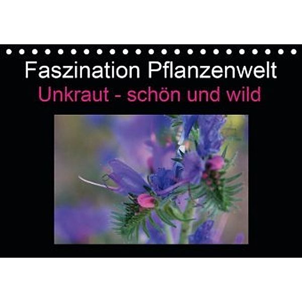 Faszination Pflanzenwelt - Unkraut, schön und wild (Tischkalender 2020 DIN A5 quer), Veronika Rix