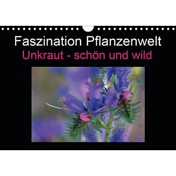 Faszination Pflanzenwelt - Unkraut, schön und wild (Wandkalender 2020 DIN A4 quer), Veronika Rix