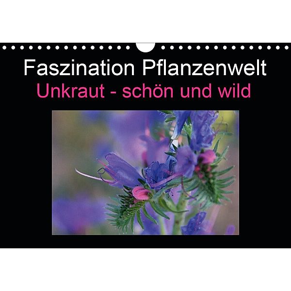 Faszination Pflanzenwelt - Unkraut, schön und wild (Wandkalender 2021 DIN A4 quer), Veronika Rix