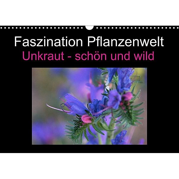 Faszination Pflanzenwelt - Unkraut, schön und wild (Wandkalender 2023 DIN A3 quer), Veronika Rix