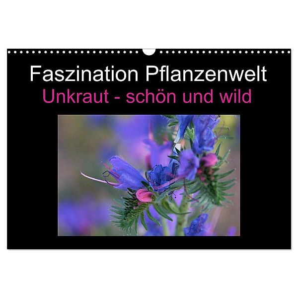 Faszination Pflanzenwelt - Unkraut, schön und wild (Wandkalender 2024 DIN A3 quer), CALVENDO Monatskalender, Veronika Rix