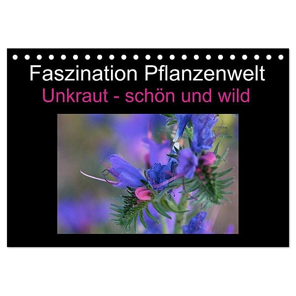 Faszination Pflanzenwelt - Unkraut, schön und wild (Tischkalender 2024 DIN A5 quer), CALVENDO Monatskalender, Veronika Rix
