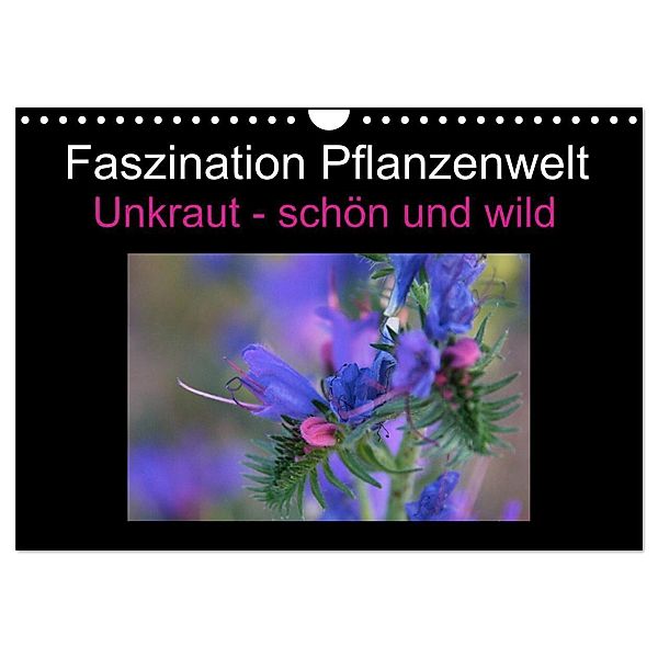 Faszination Pflanzenwelt - Unkraut, schön und wild (Wandkalender 2025 DIN A4 quer), CALVENDO Monatskalender, Calvendo, Veronika Rix