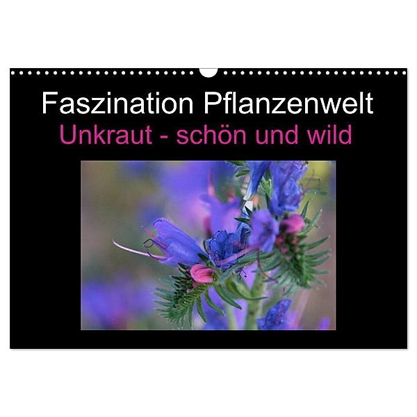 Faszination Pflanzenwelt - Unkraut, schön und wild (Wandkalender 2025 DIN A3 quer), CALVENDO Monatskalender, Calvendo, Veronika Rix