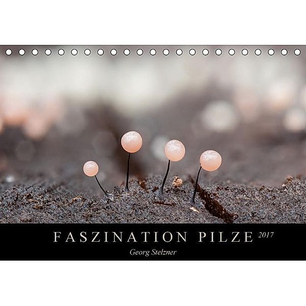 FASZINATION PILZE 2017 (Tischkalender 2017 DIN A5 quer), Georg Stelzner