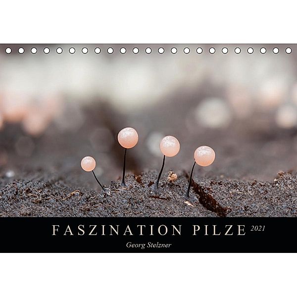 FASZINATION PILZE 2021 (Tischkalender 2021 DIN A5 quer), Georg Stelzner