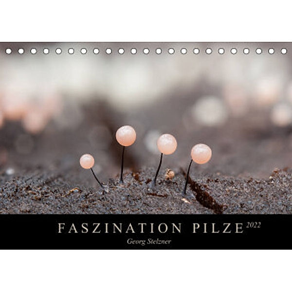 FASZINATION PILZE 2022 (Tischkalender 2022 DIN A5 quer), Georg Stelzner