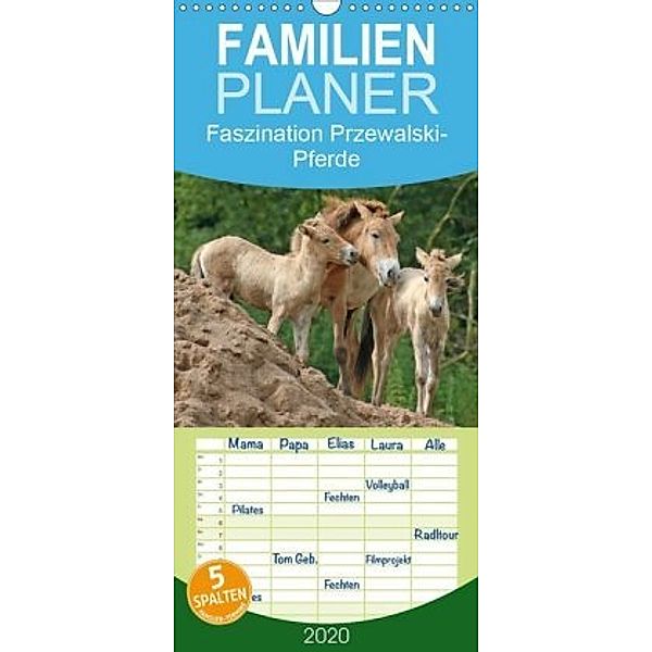 Faszination Przewalski-Pferde - Familienplaner hoch (Wandkalender 2020 , 21 cm x 45 cm, hoch), Antje Lindert-Rottke