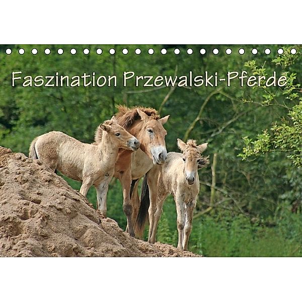 Faszination Przewalski-Pferde (Tischkalender 2018 DIN A5 quer), Antje Lindert-Rottke