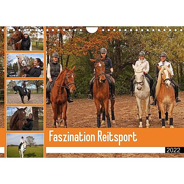 Faszination Reitsport (Wandkalender 2022 DIN A4 quer), Babett Paul - Babetts Bildergalerie