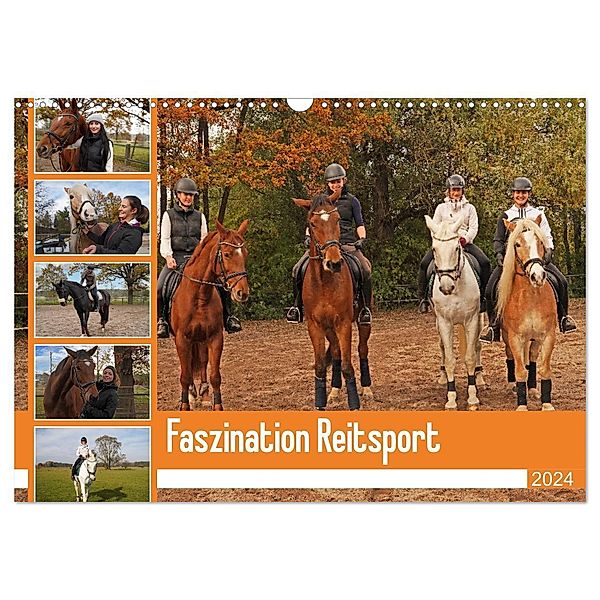 Faszination Reitsport (Wandkalender 2024 DIN A3 quer), CALVENDO Monatskalender, Babett Paul - Babetts Bildergalerie