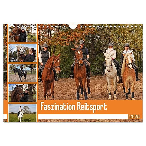 Faszination Reitsport (Wandkalender 2025 DIN A4 quer), CALVENDO Monatskalender, Calvendo, Babett Paul - Babetts Bildergalerie