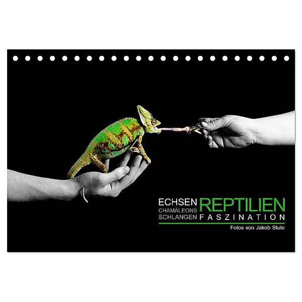 Faszination Reptilien (Tischkalender 2024 DIN A5 quer), CALVENDO Monatskalender, Stute Photo - Jakob Stute