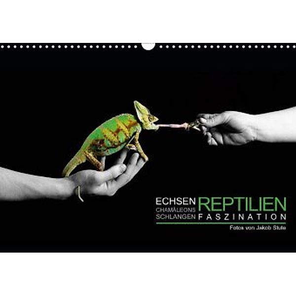 Faszination Reptilien (Wandkalender 2020 DIN A3 quer), Jakob Stute