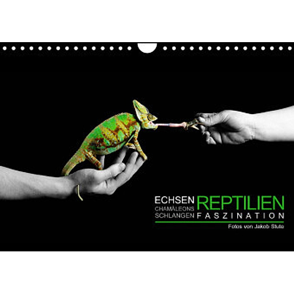 Faszination Reptilien (Wandkalender 2022 DIN A4 quer), Stute Photo - Jakob Stute