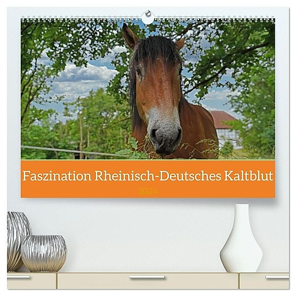 Faszination Rheinisch-Deutsches Kaltblut (hochwertiger Premium Wandkalender 2024 DIN A2 quer), Kunstdruck in Hochglanz, Babett Paul - Babetts Bildergalerie