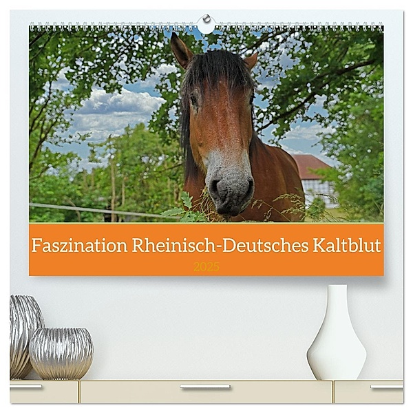 Faszination Rheinisch-Deutsches Kaltblut (hochwertiger Premium Wandkalender 2025 DIN A2 quer), Kunstdruck in Hochglanz, Calvendo, Babett Paul - Babetts Bildergalerie