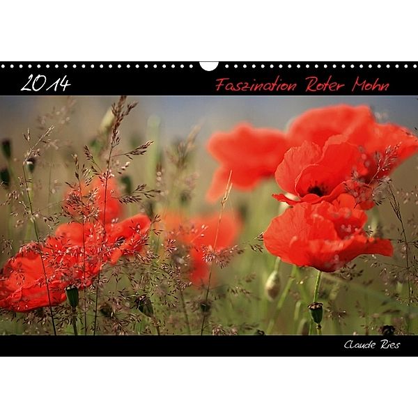 Faszination Roter Mohn (Wandkalender 2014 DIN A3 quer), Claude Ries