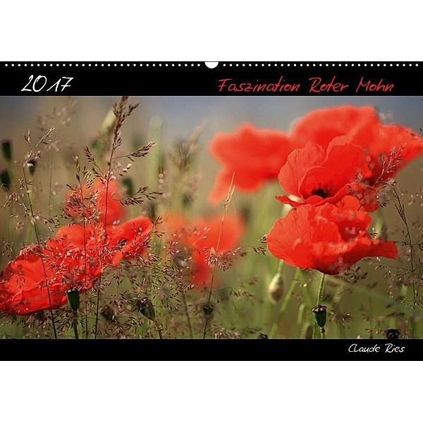 Faszination Roter Mohn (Wandkalender 2017 DIN A2 quer), Claude Ries