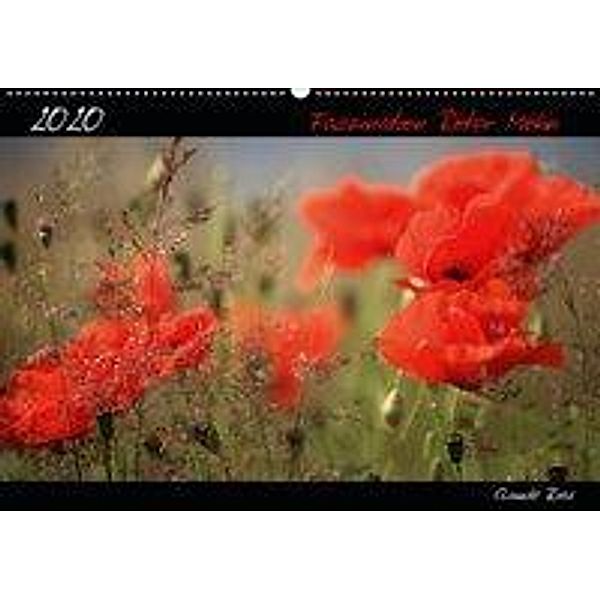 Faszination Roter Mohn (Wandkalender 2020 DIN A2 quer), Claude Ries