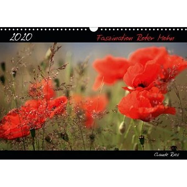 Faszination Roter Mohn (Wandkalender 2020 DIN A3 quer), Claude Ries