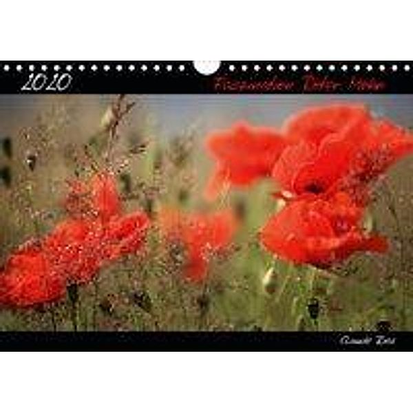 Faszination Roter Mohn (Wandkalender 2020 DIN A4 quer), Claude Ries