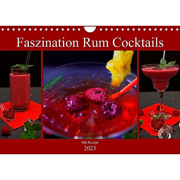 Faszination Rum Cocktails (Wandkalender 2023 DIN A4 quer), Babetts Bildergalerie - Babett Paul